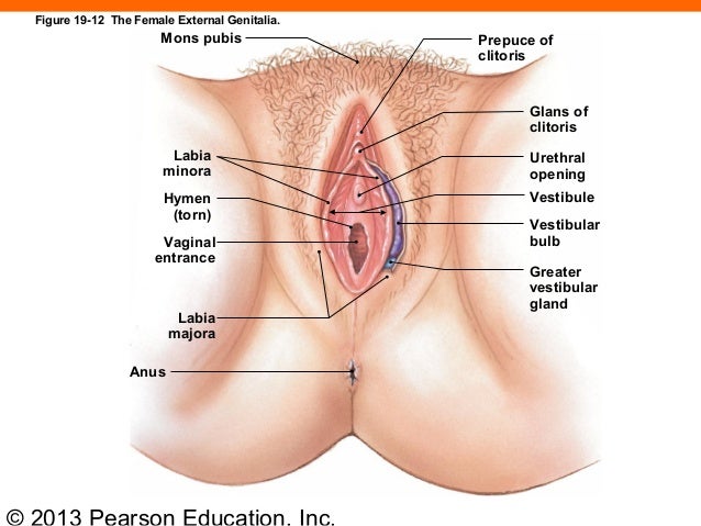 Physical features that happen when you lose your virginity Sexiest latina porn star
